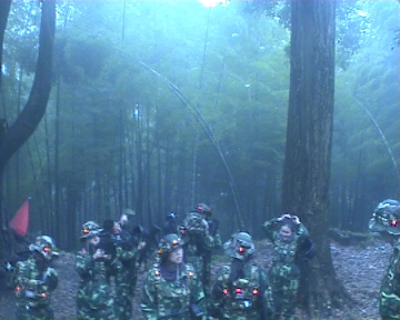 2012052514564496.jpg
