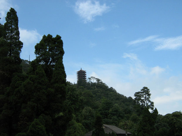 景观11.jpg