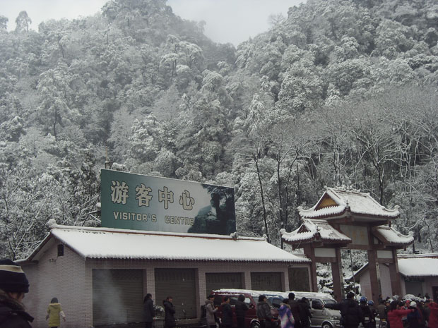 雪景7.JPG
