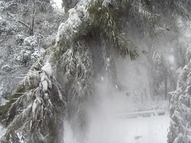 雪景3.JPG