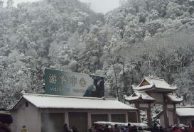 雪景7